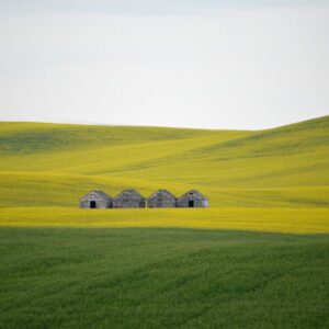 field, hills, barns-7025238.jpg